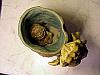 THE PEEPING TOM TANKARD #4