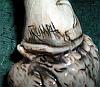 Owl in a Wizards Cap #7