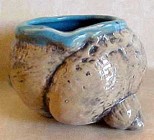 Shell Cup