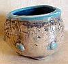 Shell Cup #2