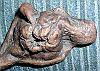 Orc Ear #5