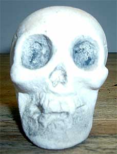 Skull