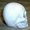 Skull #3