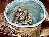Victorious Democrat Tankard #6