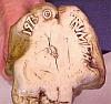 THE CIGARETTE EATING CREATURE ASHTRAY #7