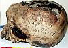 The Skull of the Daemon Rumphapithecus #8