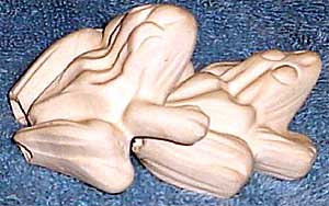 Two Consenting Adult Frogs